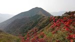 风光 透海山