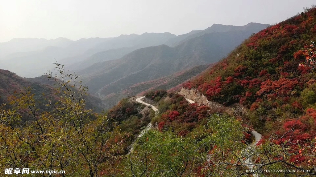 透海山路