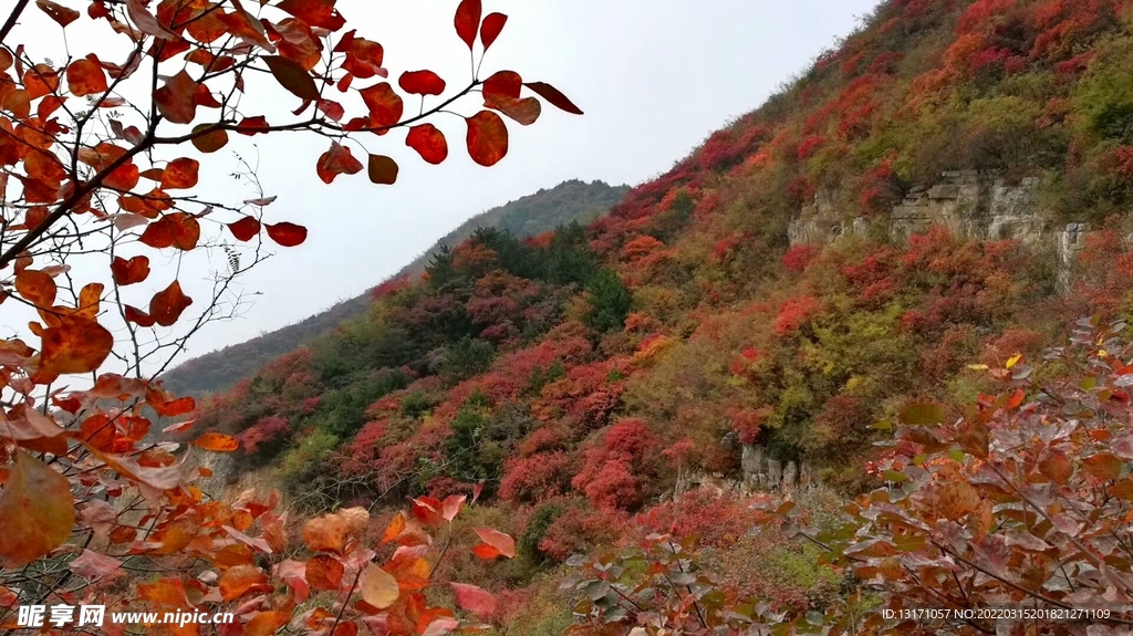 透海山风景