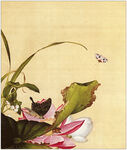 花纹  