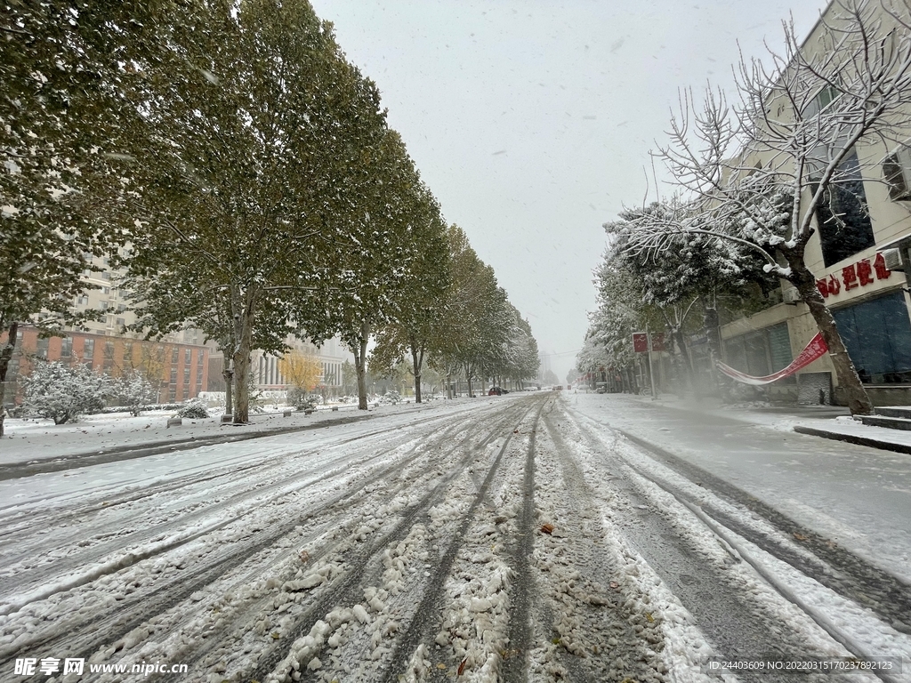 下雪马路