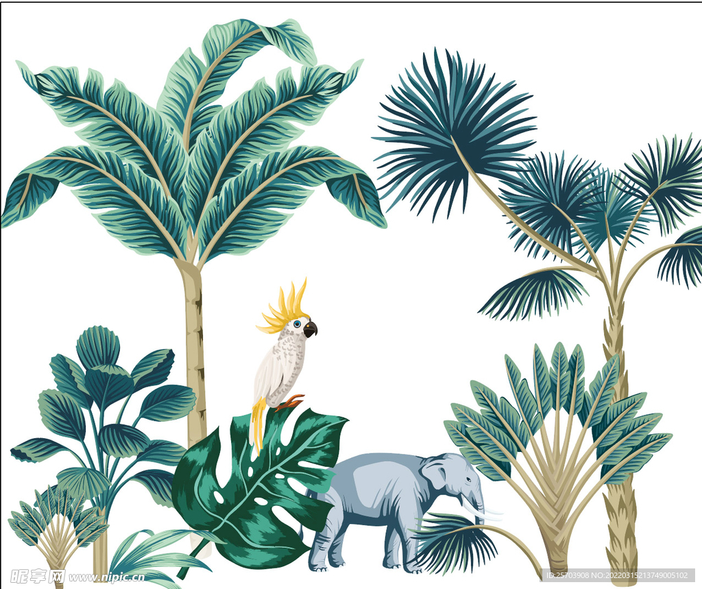 植物叶子