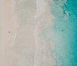 海