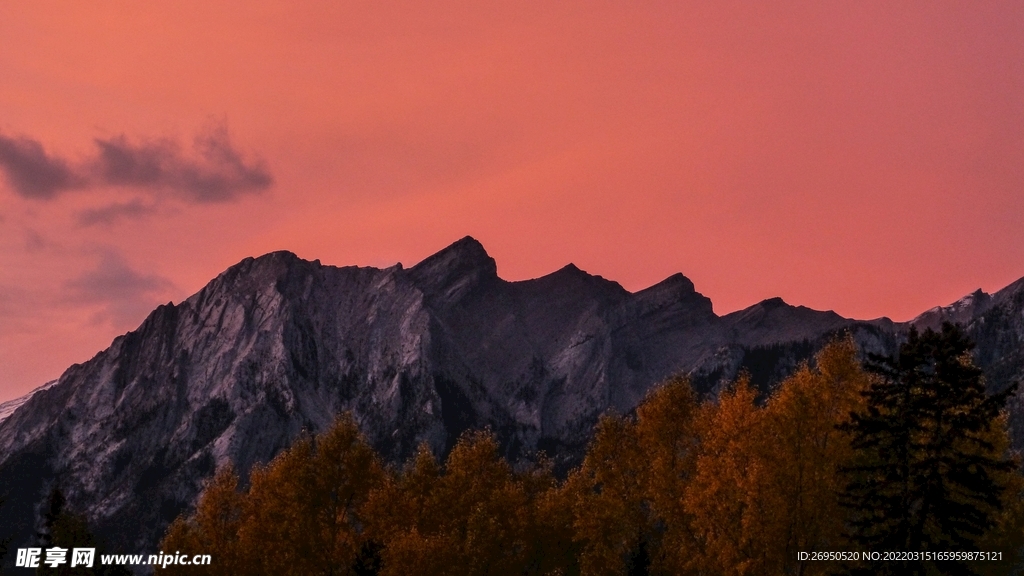 山