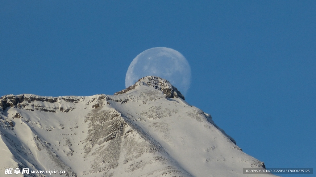 风景