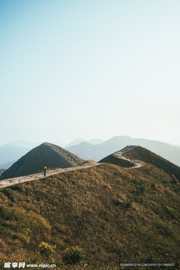 山