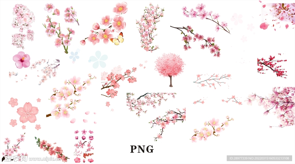 樱花桃花