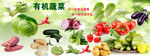蔬菜海报 