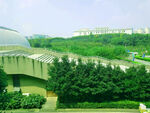 风景