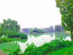 风景