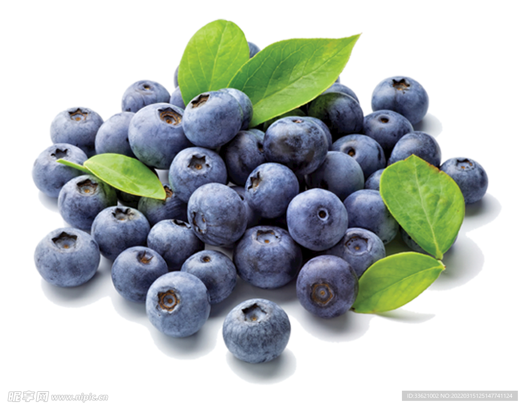 蓝莓  