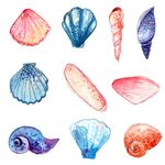 手绘海洋生物  
