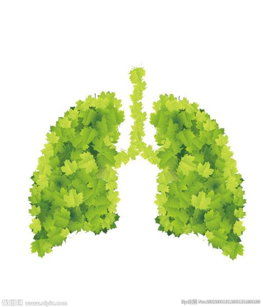 矢量绿叶肺