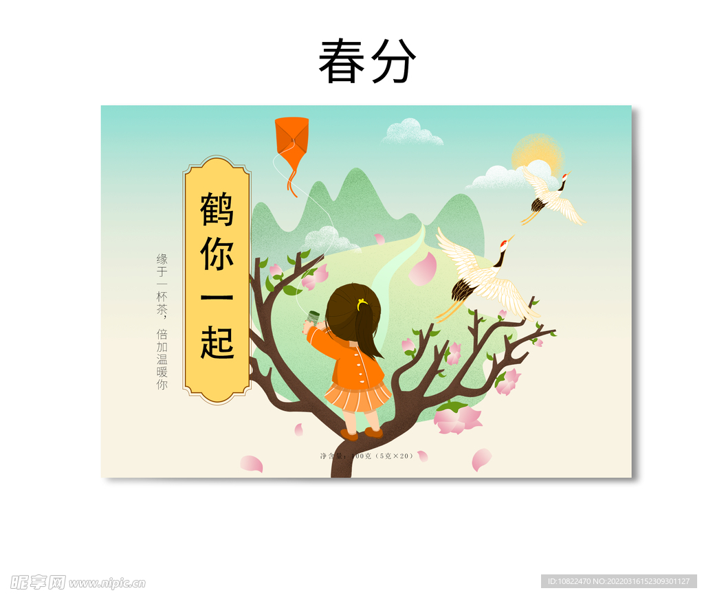 插画包装