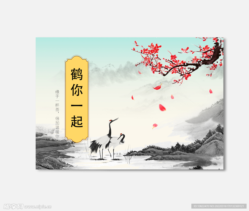 插画包装