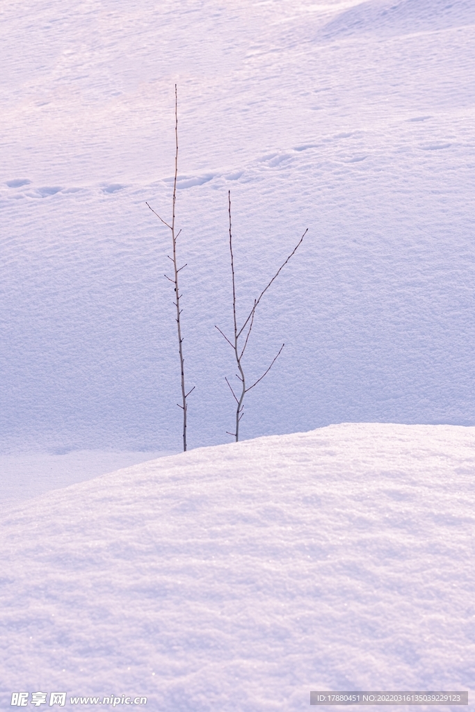 雪山
