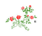 花开富贵