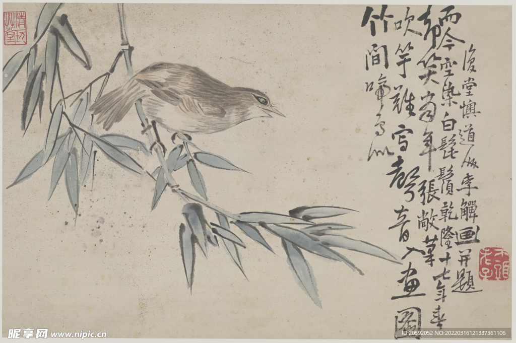 花鸟画 
