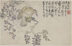 花鸟画  