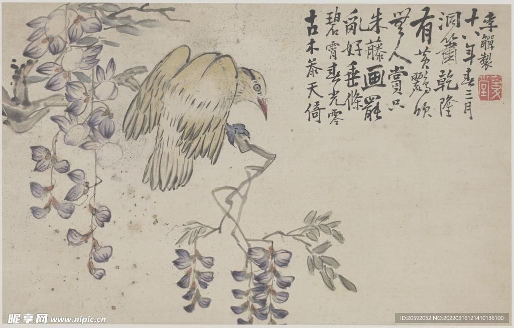 花鸟画  