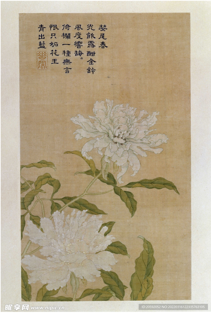 花卉册   