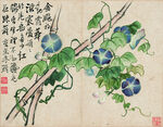花鸟图  