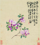 花鸟图 