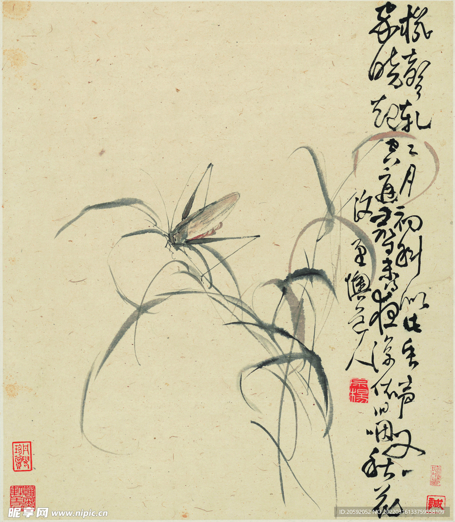 花鸟图  
