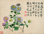 花鸟图  