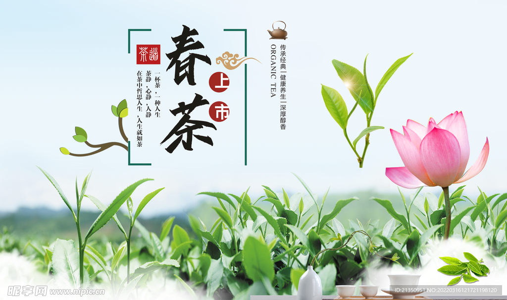 春茶