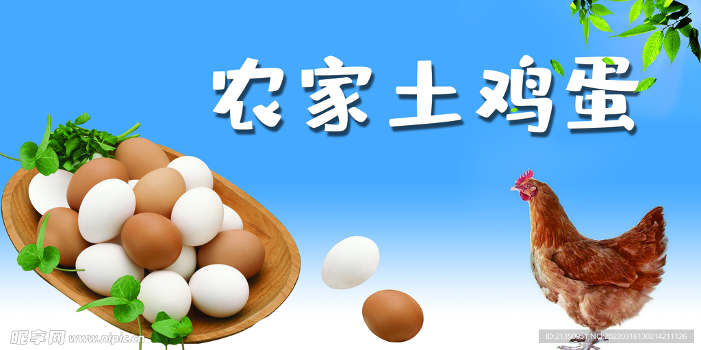 农家土鸡蛋