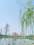公园湖畔美景
