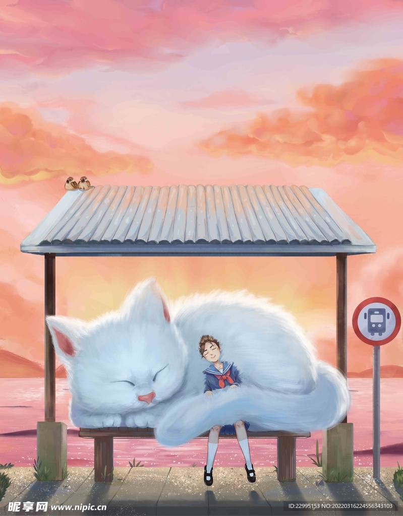 夕阳下的睡猫