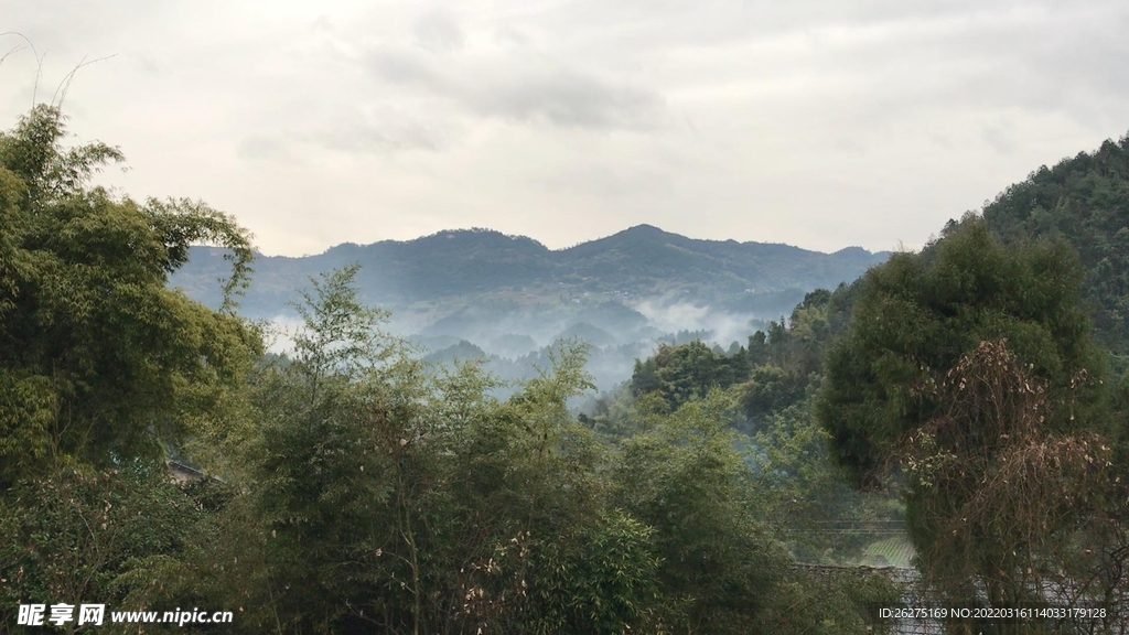 山峦树海