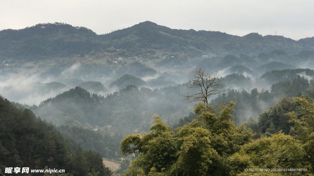 只缘生在此山中