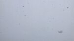 天空飘雪