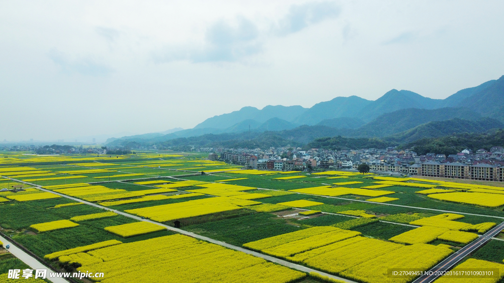 梯田 山脉