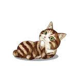 猫              