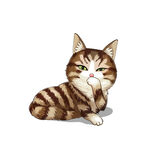 猫              