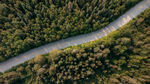 森林公路
