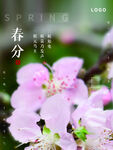 春分