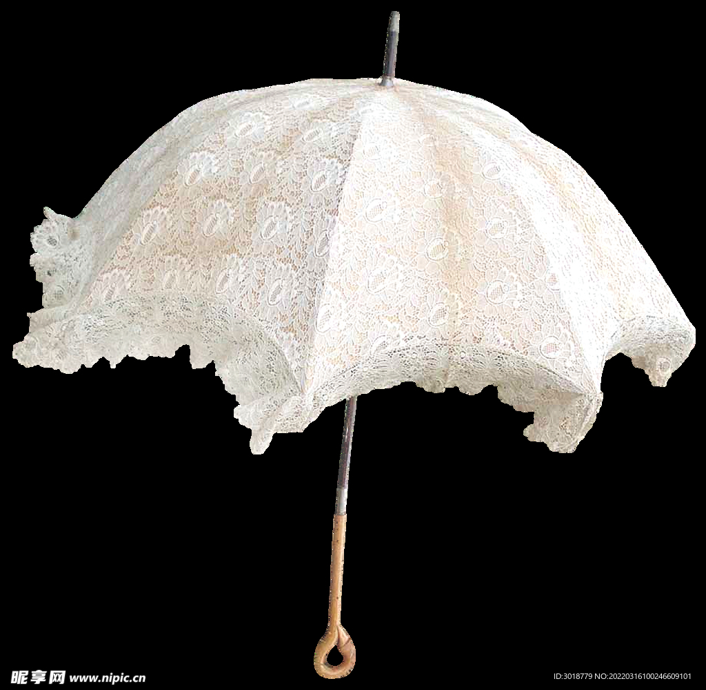 雨伞 