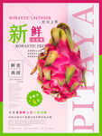 火龙果