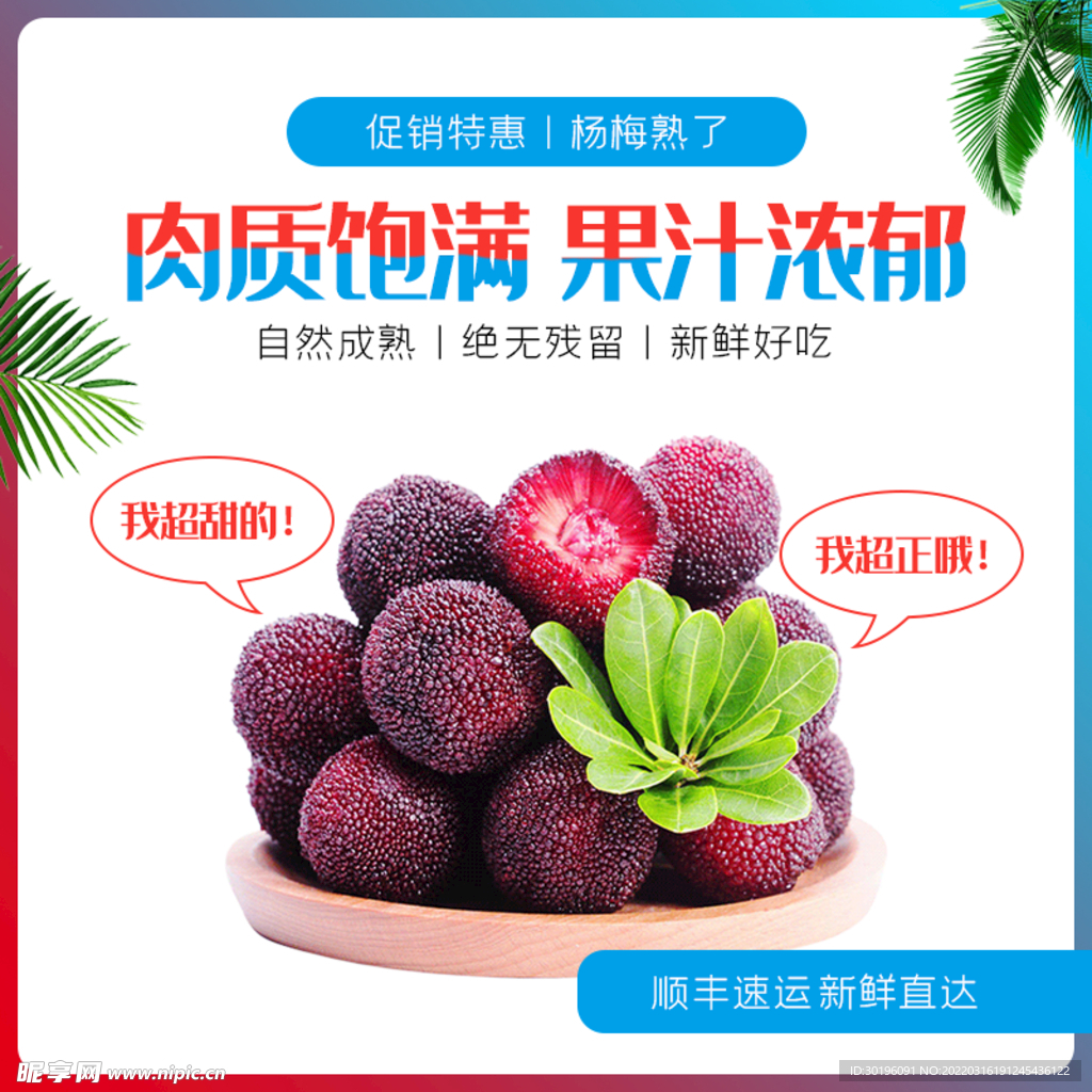 杨梅海报