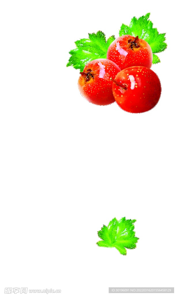 山楂