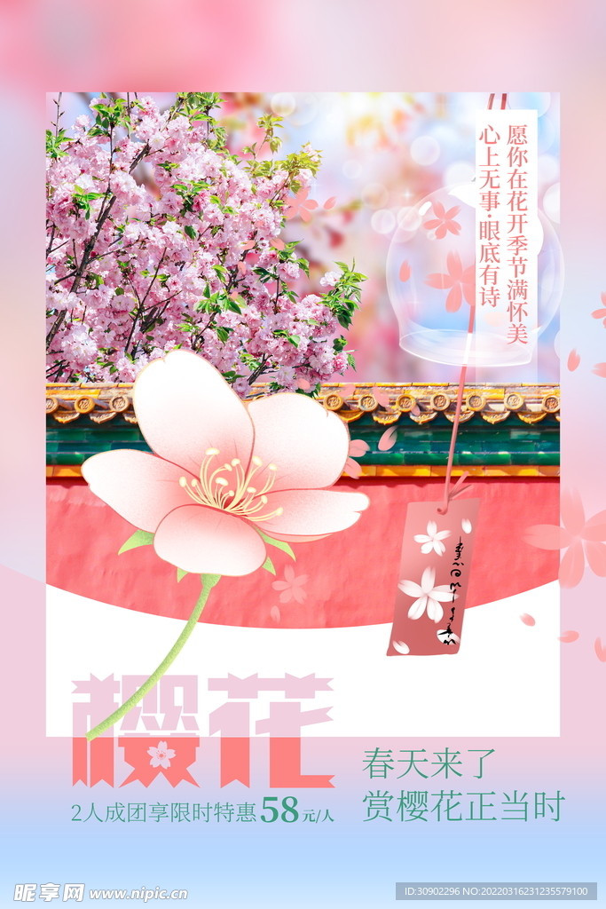 樱花