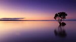 紫色湖面