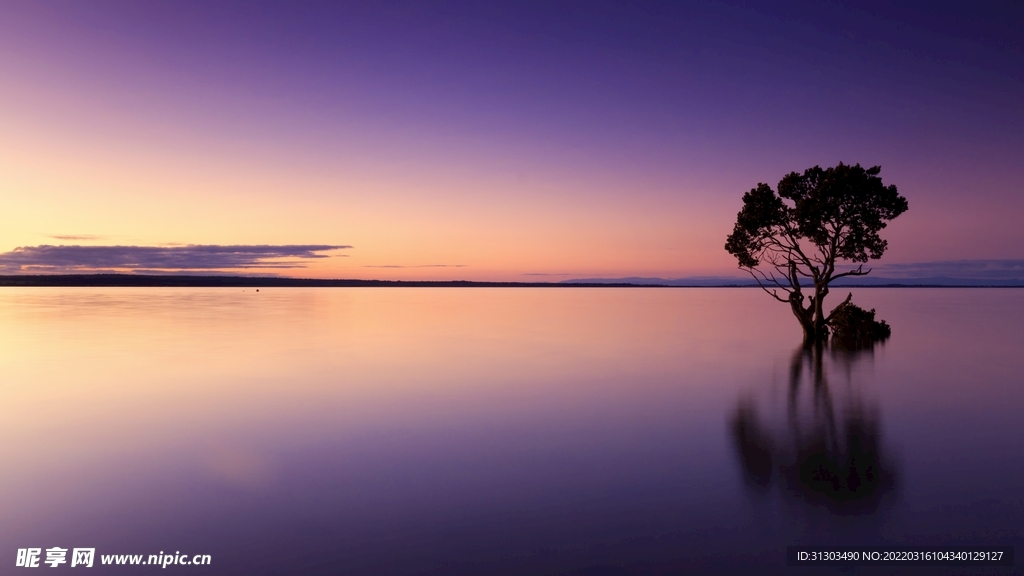 紫色湖面