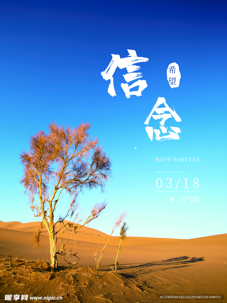 信念