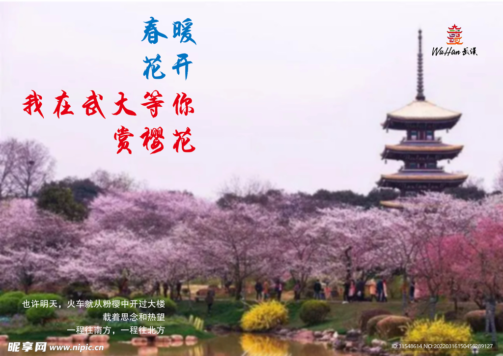 樱花海报